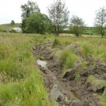 Modifications hydriques des prairies humides - Hydrologische Veränderungen des Feuchtgrünlandes 3